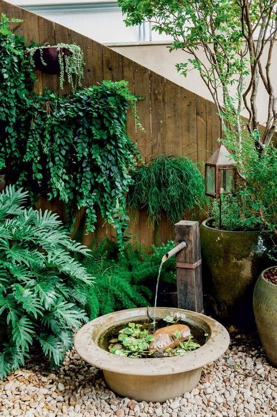 Ideia de jardim pequeno