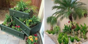 Jardim simples e barato é possível seguindo estas 5 dicas de mestre