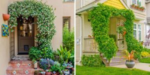 Fachadas com flores e plantas: 7 dores de cabeça com manutenção que ninguém te contou
