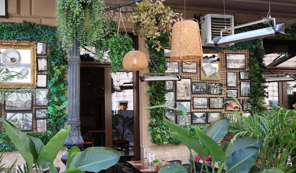 Decoração com plantas suspensas